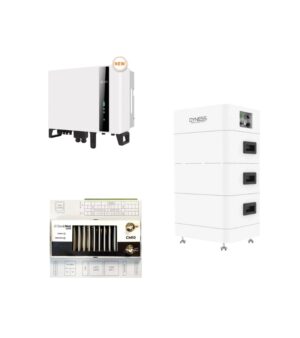 Reservimarkkinajärjestelmä Solis 10kW + Dyness Pro TP11 + Checkwatt