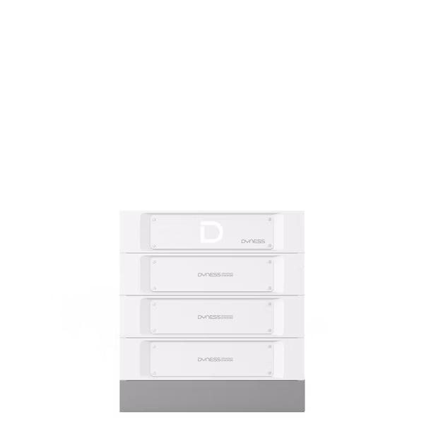 DYNESS STACK 100 15,36 KWH